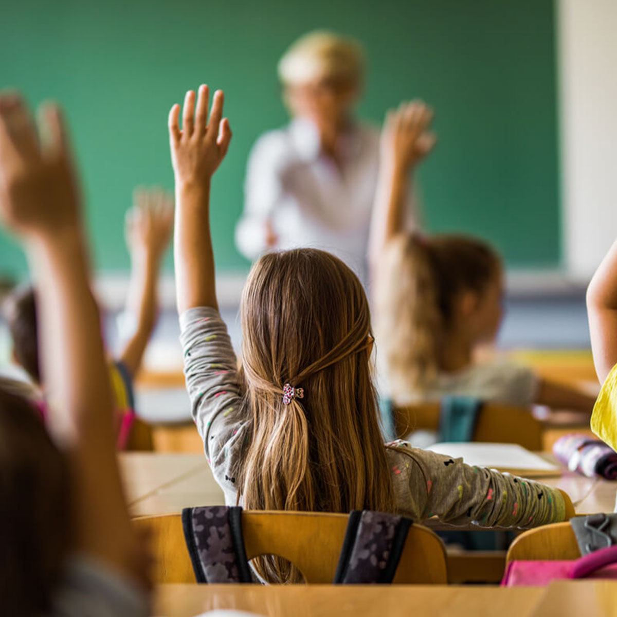 RENTA EDUCATIVA
